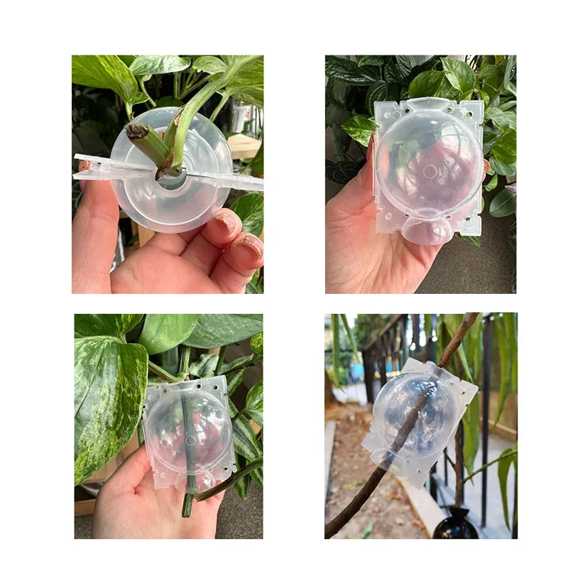 3pcs/pack Tree Root Growing Box Reusable Rooting Ball Grafting Tools Reproduction Device High Pressure Propagation Ball Box plant rooting ball
