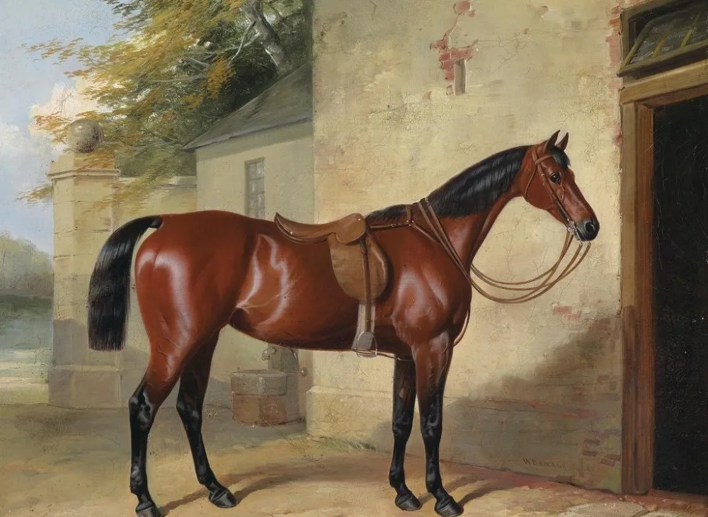 

Оптовая продажа, живопись # TOP animal ART # HORSE, Художественная печать на холсте, картина маслом, бесплатная доставка, 36 дюймов