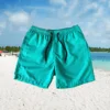 Men's Quick Dry Board Shorts Sportswear Summer Swim Trunks Shorts Bathing Trainning Breathable Surfing Beach Exercise Shorts 3