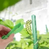 10 Pcs Children's Tweezers Toy Kids Christmas Presents Toys Preschool Sensory Plastic for 5