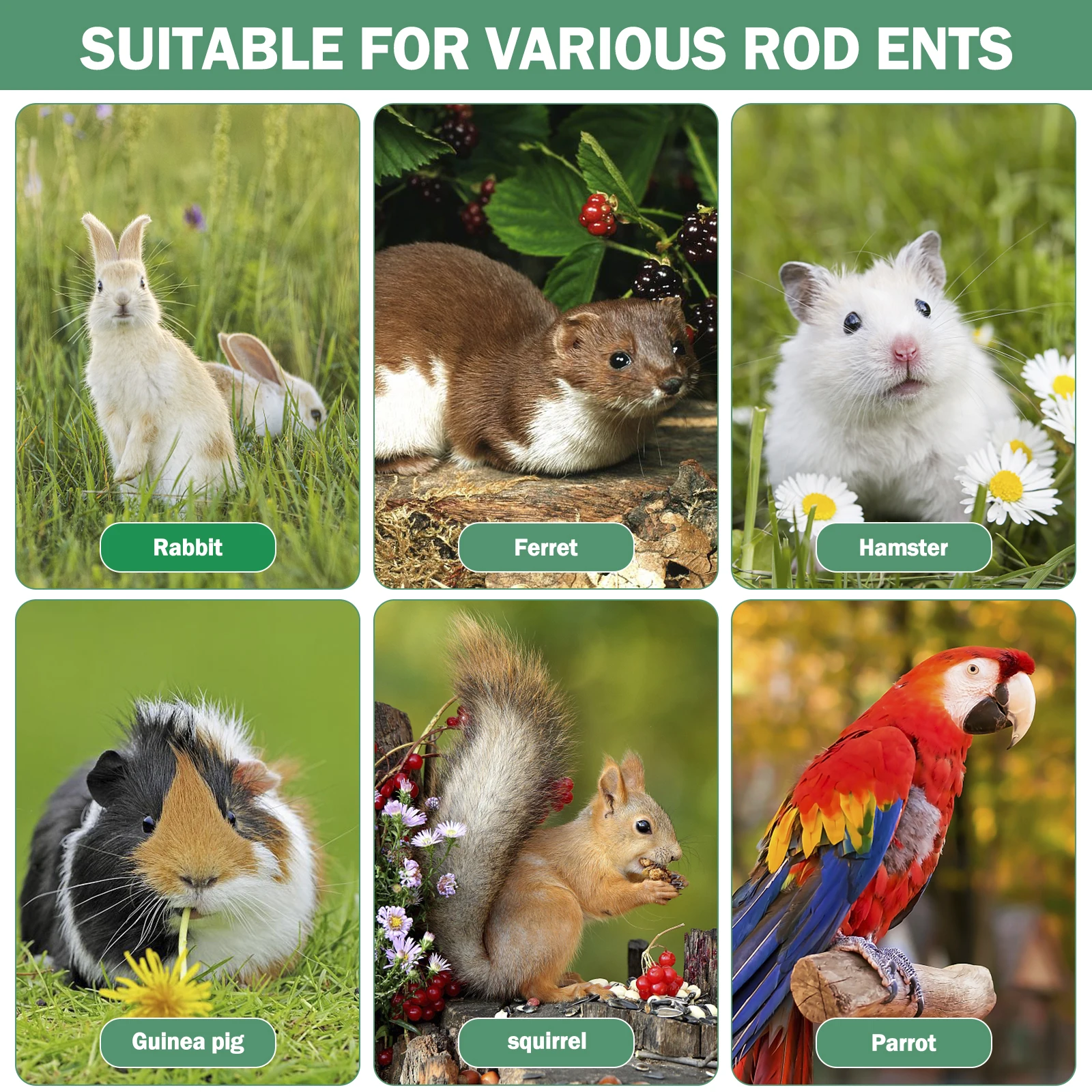 Dispenser Acqua Automatico Per Animali - 125 Ml, Per Criceti, Conigli, Piccoli Animali, Con Ciotola - Foto 6