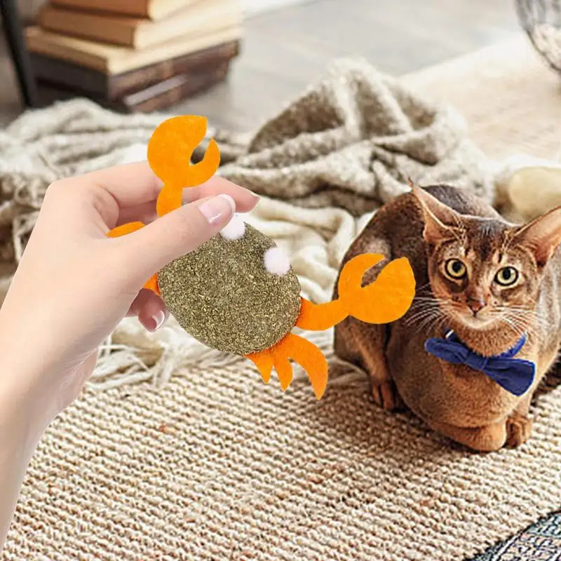 Silvervine Cat Toy - De 15 beste producten vergeleken - Wild uitgelegd
