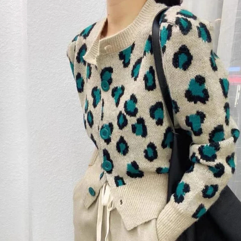 ������ ��Ƽ�� ª�� ��Ʈ ī���, ũ��� ȣ�ǹ��� �Ƿ�, ������ ������ ��Ŷ, �ѱ� 2022, ����, �ܿ�