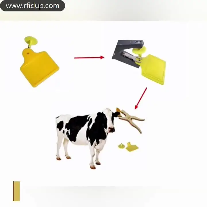 FDX-B RFID-микрочип для идентификации животных 2 12*12 мм стеклянный транспондер