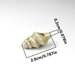 Elegant Beige Conch Ceramic Beads, 20mm Handmade Shell Charms for DIY Jewelry and Gifts (Beige)