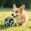 New Pet Bell Sound Toy Ball Dog Outdoor Interactive Training Play Football 6