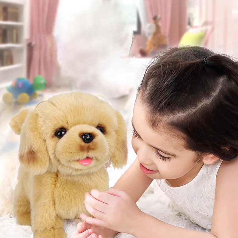 Plush Golden Retriever Pomeranian Puppy Walking Barking Sticking