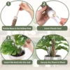 Moss Pole Plastic Plant Stand Indoor Climbing Plants Guardian Tutors Pot Moss Stick For Plants Growth Garden Support Accessories 3