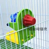 1PCS Pet Bird Toys For Parrots Bird Cage Feeder Foraging Intelligence Fun Training Leaking Food Props Random Color Accessories 3