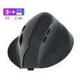 BT 2.4G Black