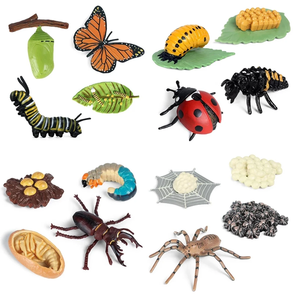 

Newest Simulation Animals Growth Cycle Model Bee Spider Butterfly Action Figures Figurine Cute Kids Baby Toy Figures Educational