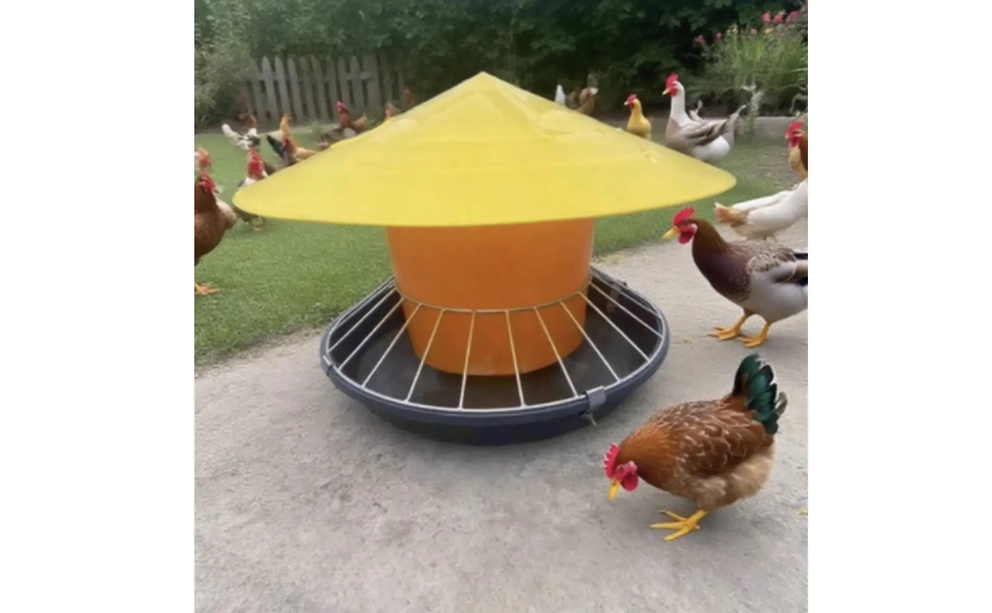 Round Fowl Feeder Large Capacity Fowl Feeder Chicken Feeding Trough Easy Installation Automatic Nourishment Container Anti-Perch