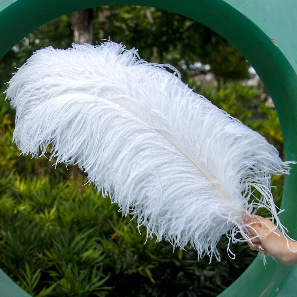 Wholesale 15-70cm Natural White Feathers Ostrich Plumes Diy Large Ostrich  Feathers Party Wedding Feathers For Crafts Decorations - Feather -  AliExpress