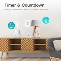 WiFi Smart Power Wall Socket with Type C And USB Dual Outlet Plug Power Outlets Support Alexa Google Home - Image 4