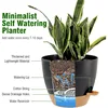 Large Self Watering Pots, 12/10/9 Plastic Planters with High Drainage Holes and Deep Reservoir 3