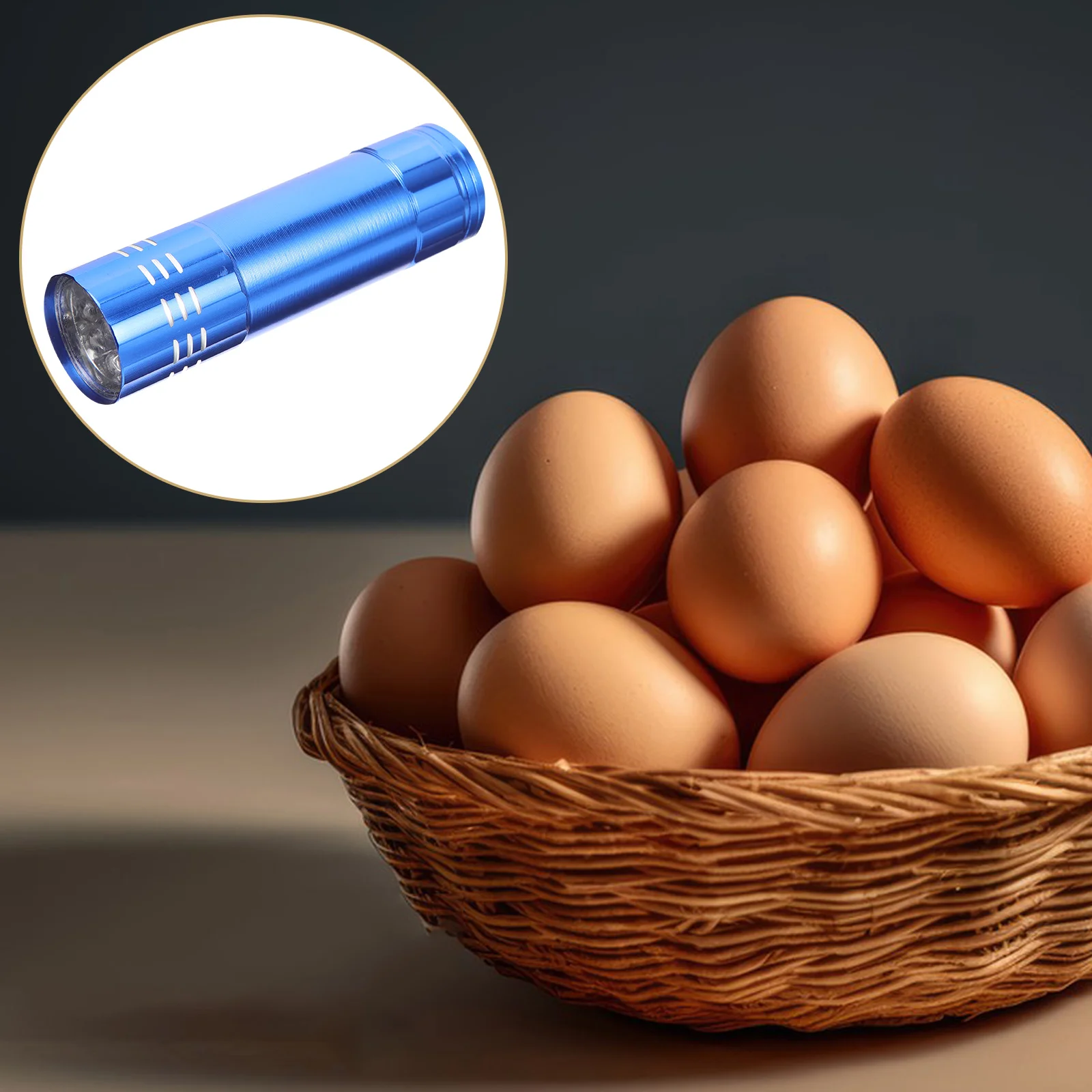 Incubator Egg Camera Candling Lamp Farm Incubation Supply Tester Inspection Lights Candler Equipment Handheld