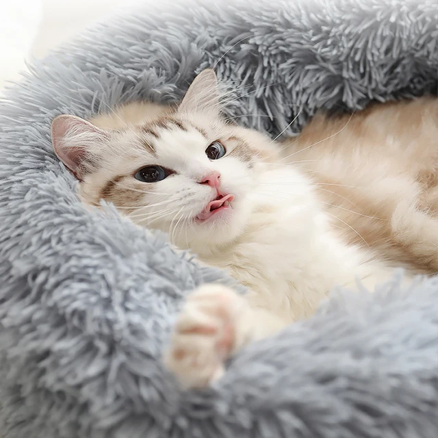 Kimpets Round Cat Bed Dog Pet Bed Kennel Non-Slip Winter Warm Dog Kennel Sleeping Long Plush Soft Puppy Cushion Mat Cat Supplies Kimpets Round Cat Bed Dog Pet Bed Kennel Non-Slip Winter Warm Dog Kennel Sleeping Long Plush Soft Puppy Cushion Mat Cat Supplies