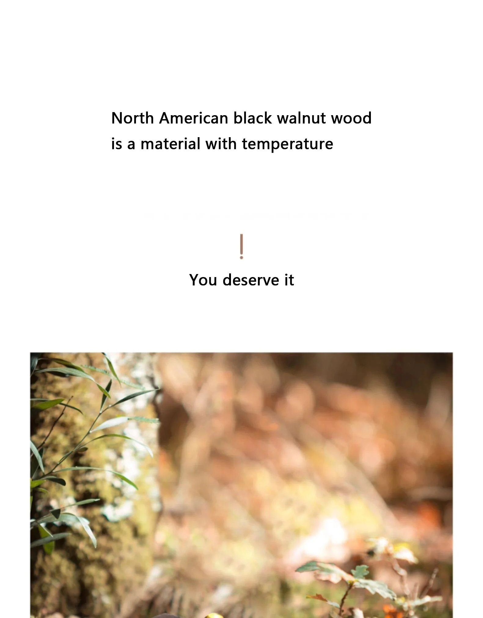 handmade walnut switch with brass toggle