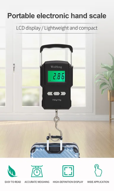 Fishing Scale 75kg/10g LCD Digital Temperature Display Electronic Hook  Backlit Weight Hanging Hook Adjustable Measurement Steelyard 