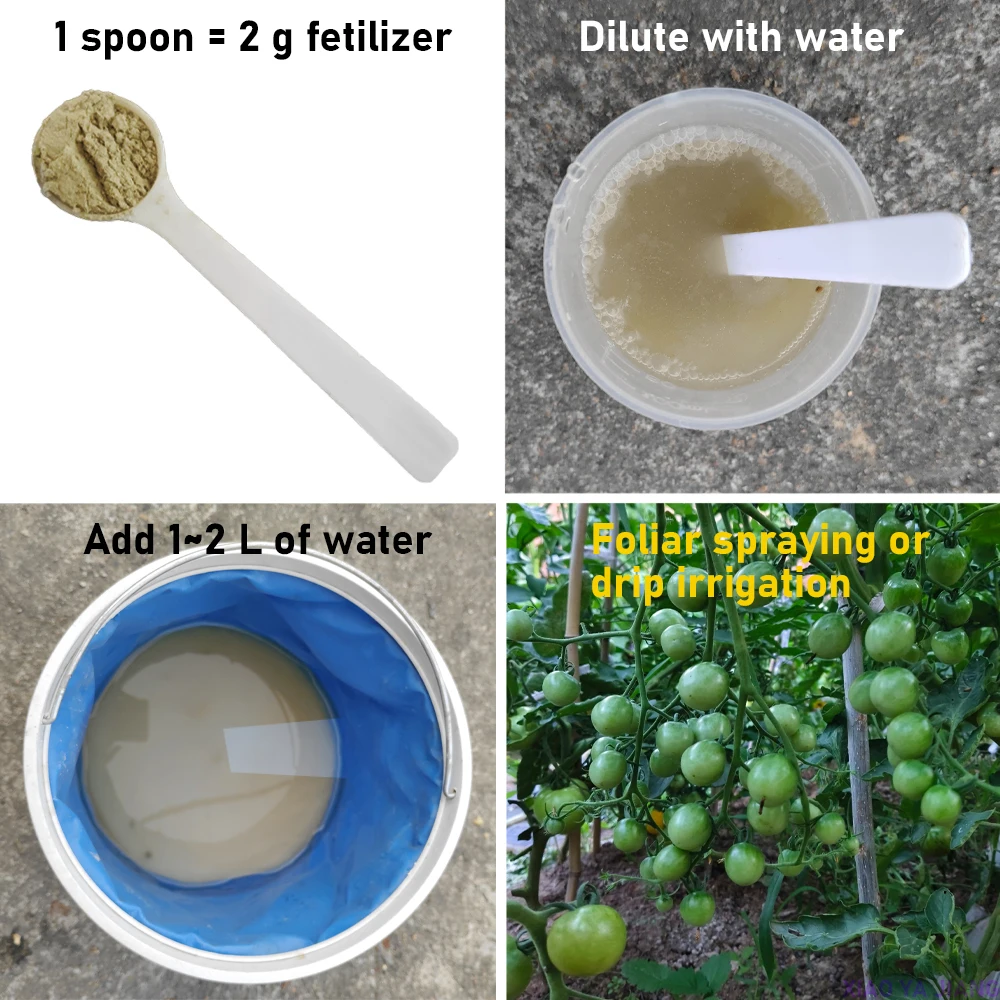 Slide image 1587c8f520594935ba36d9b43405c97e