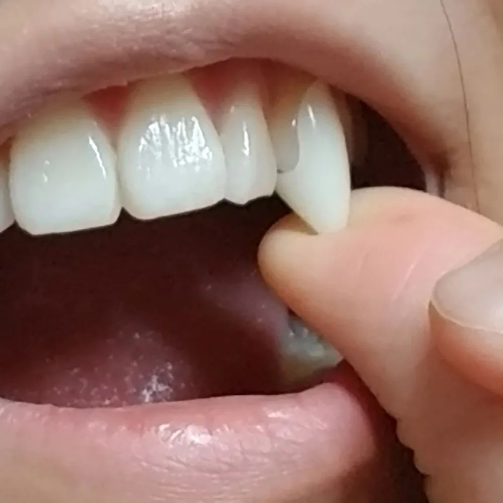 Spooky Vampire Fangs with Adhesive - Halloween Costume Prop Dentures