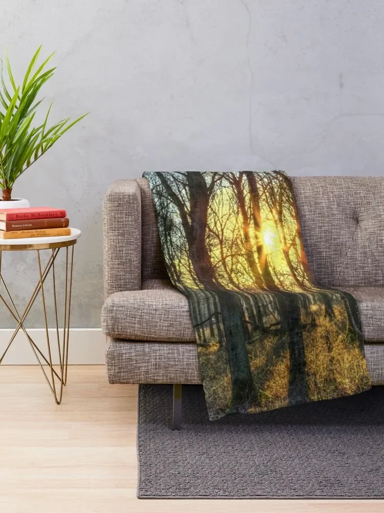 �̸� ��ħ �� ������ ���, ħ�� Ŀ��, �ʴ��� ������ ��� ���