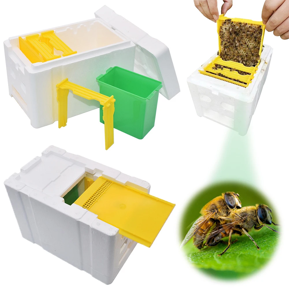 Foam Bee Box Versatile Bee Mating Box Pollination Queen Rearing Beehive Beekeeper Suppliers beekeeping tools,bee breeding box