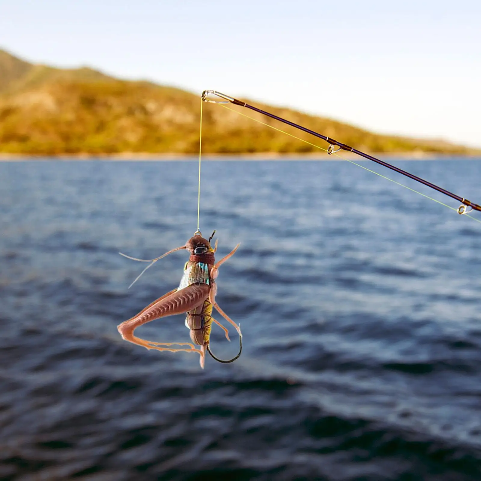 Simulazione Di Esche Da Pesca Grasshopper Locust Bait Per Tilapia Horse Mouth Fish