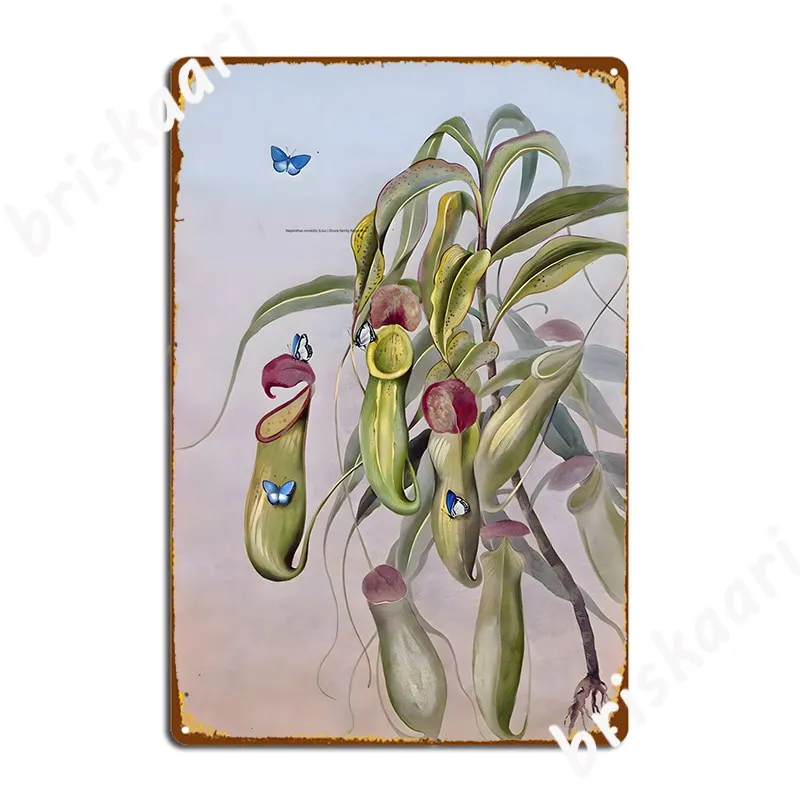 Nepenthes Mirabilis Lour Druce Metal Platform Poster Wall Cinema Kitchen Retro Plates Tin Sign Poster