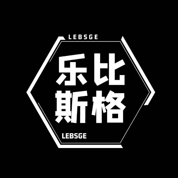 LEBSGE BAG Store