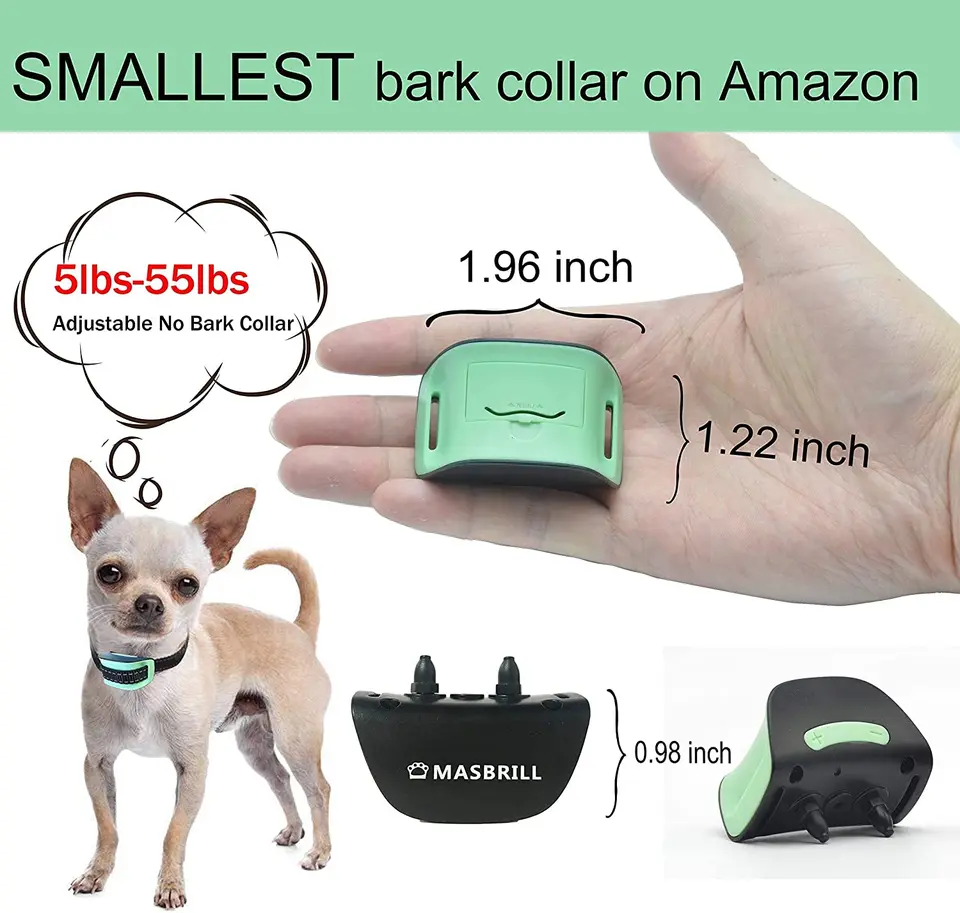Amazon Extra Extra Small Dog Collars Taglory Reflective Dog Collar - Main Image