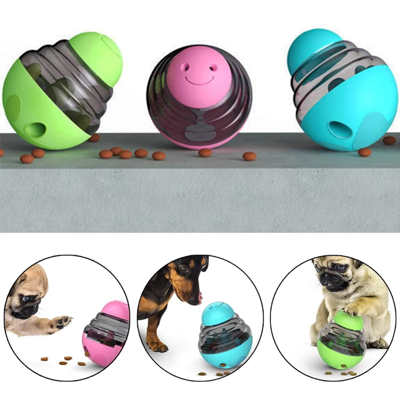 Interactive Pet Food Dispenser and IQ Training Toy