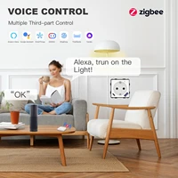 BSEED Zigbee Smart Socket Part Power Monitor Outlet With USB Type-C DIY Parts 20W Fast Charge Tuya Smart Life Alexa App Control - Image 4