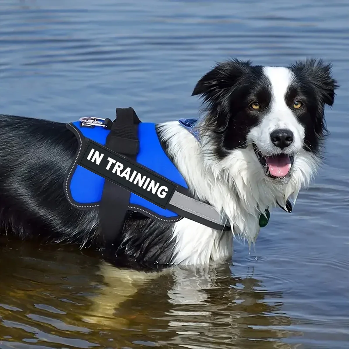 Adjustable Dog Harness Reflective Breathable Vest