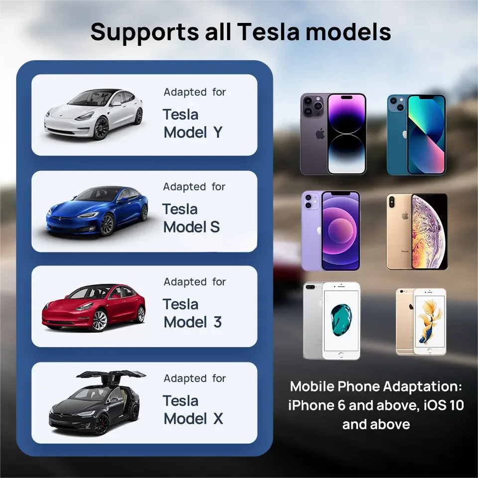 All the 2024 tesla models