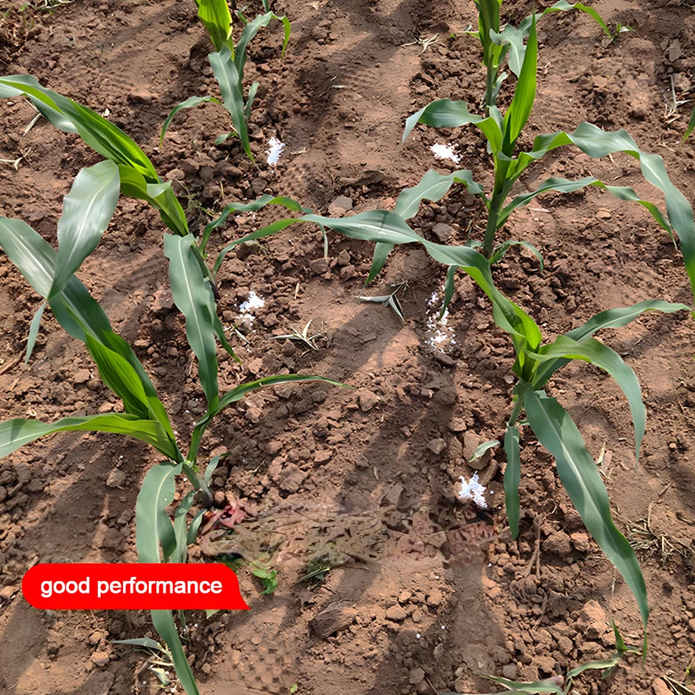 Stainless Steel Manual Fertilizer Applicator Double Tubes Backpack Fertilizer Spreading Tool for Corn Vegetable Fruit Tree Plant