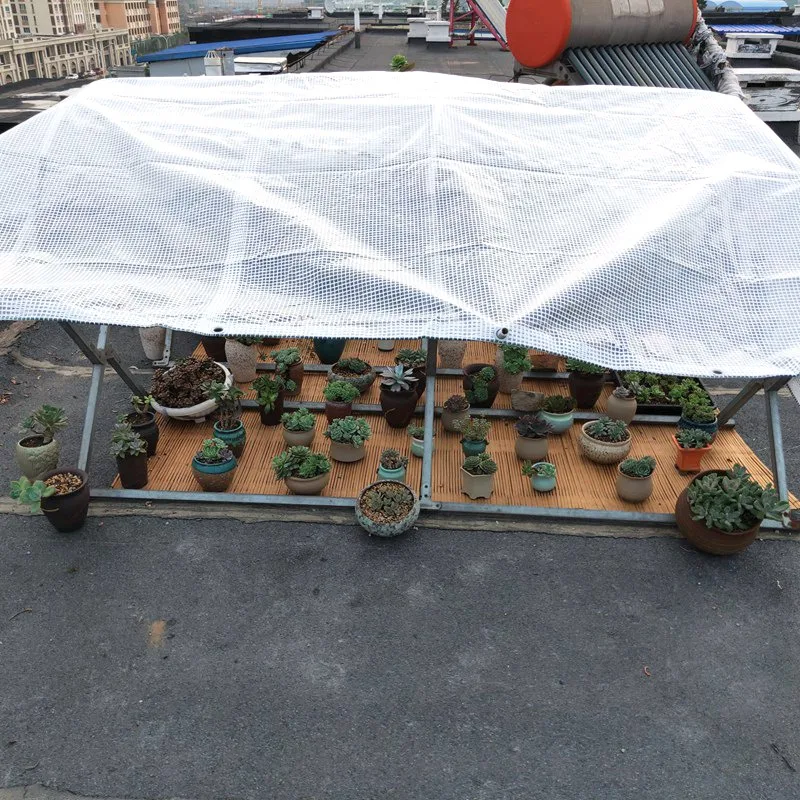 Рисунок 5 - 0,33 мм прозрачный полиэтиленовый