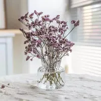 1pc Nordic Creative Transparent Vases for Plant Bottle Flower Pot Hydroponic Terrarium Arrangement Container Flower Table Vase - Image 6