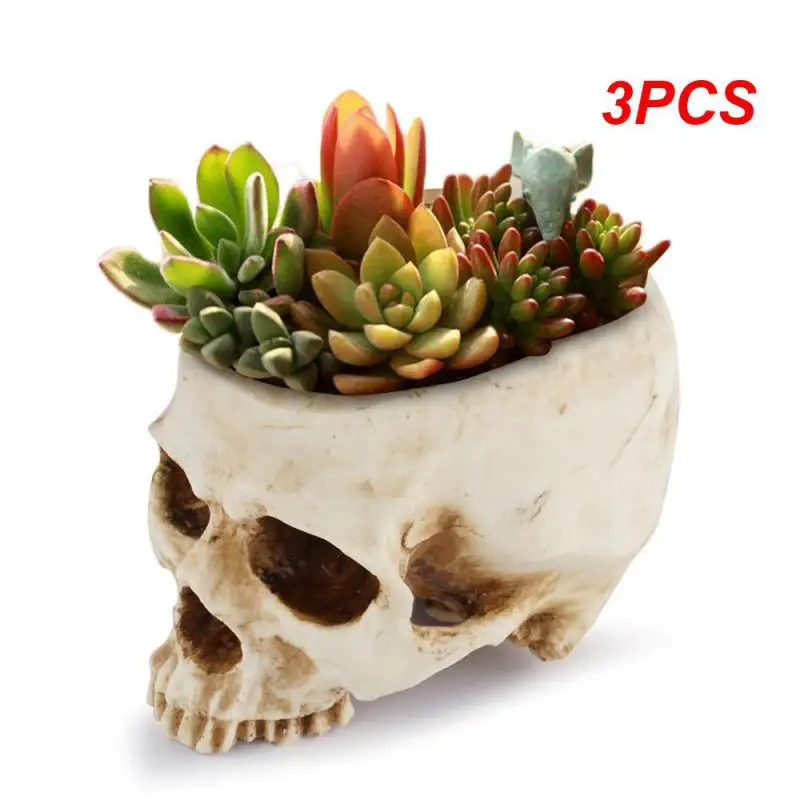 

3PCS Resin Crafts Human Tooth Skull Fossil Teaching Skeleton Model Halloween Home Office Flower Pot Planter Skull Pot Decoration