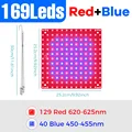 Red Blue-300W