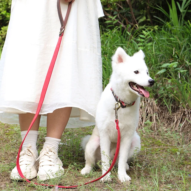 4.5ft Dog Pet Leash Rope 9 Colors PU leather Small Medium Large Dogs Nylon Padded Puppy Leashes Walking Leash Lead Ropes for Dog 5