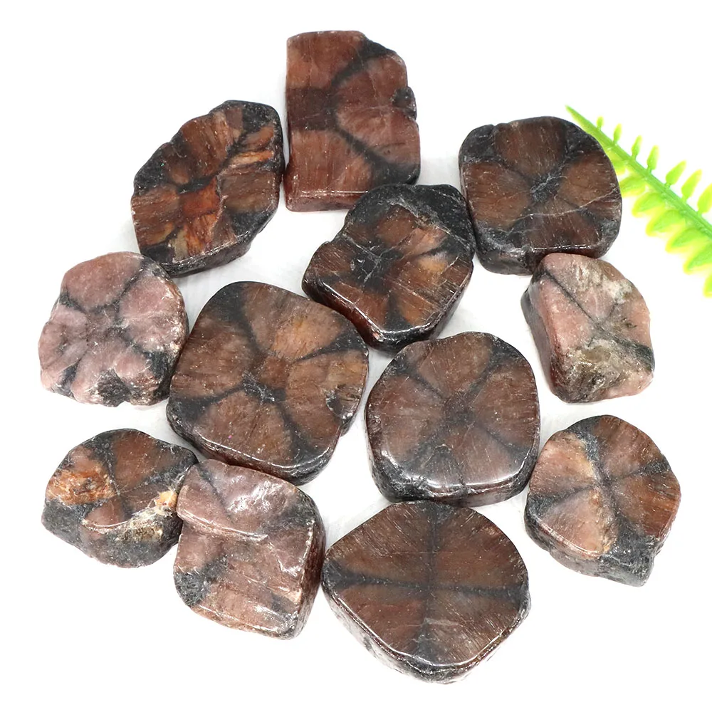 

Natural Chiastolite Quartz Crystals And Healing Stones Tumbled Bulk Gravel Mineral Specimen Gemstone Home Tank Aquarium Decor