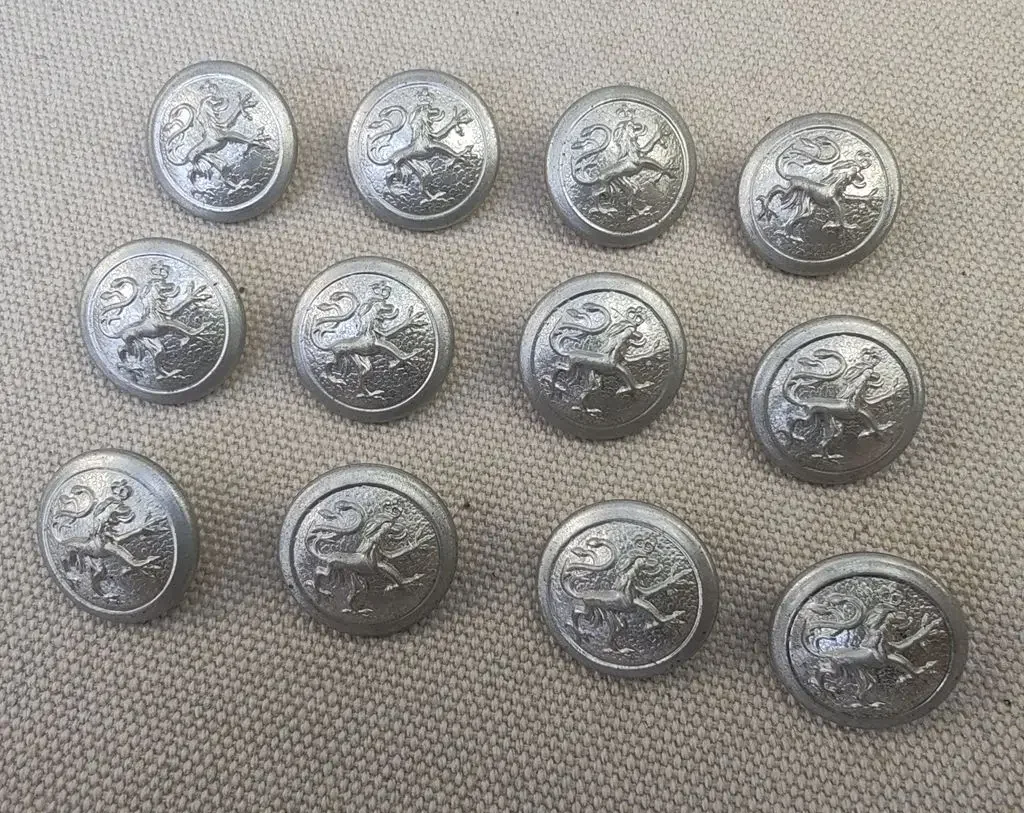 18MM WWI WW1 독일 바이에른 버튼 실버 18MM 사자 버튼 12개 세트