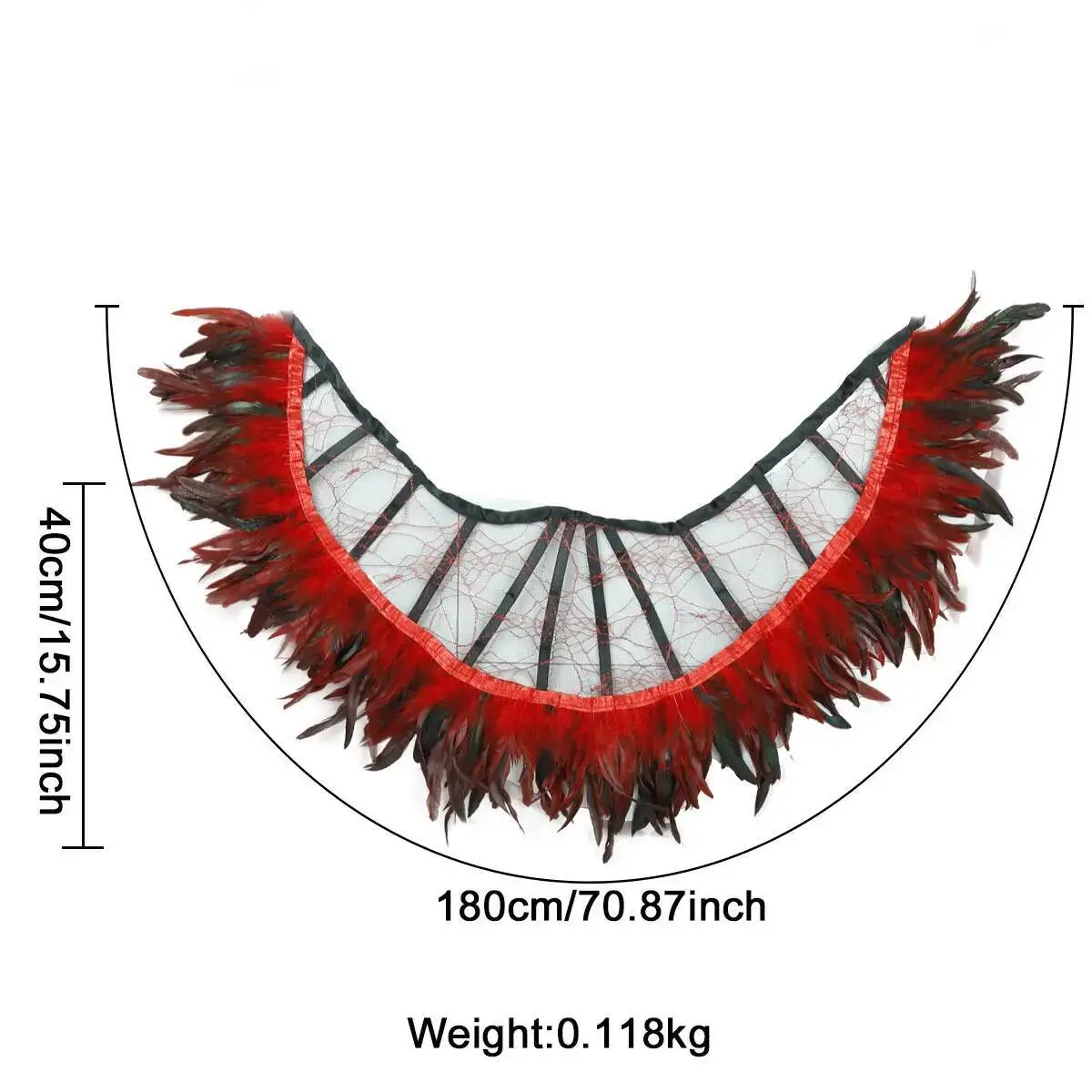 Cape Gothique en Plumes Noires à Col en Dentelle – photo 1