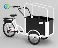 Vélo cargo à pédale électrique à 3 roues avec moteur arrière pour transporter des vélos électriques pour animaux de compagnie 5