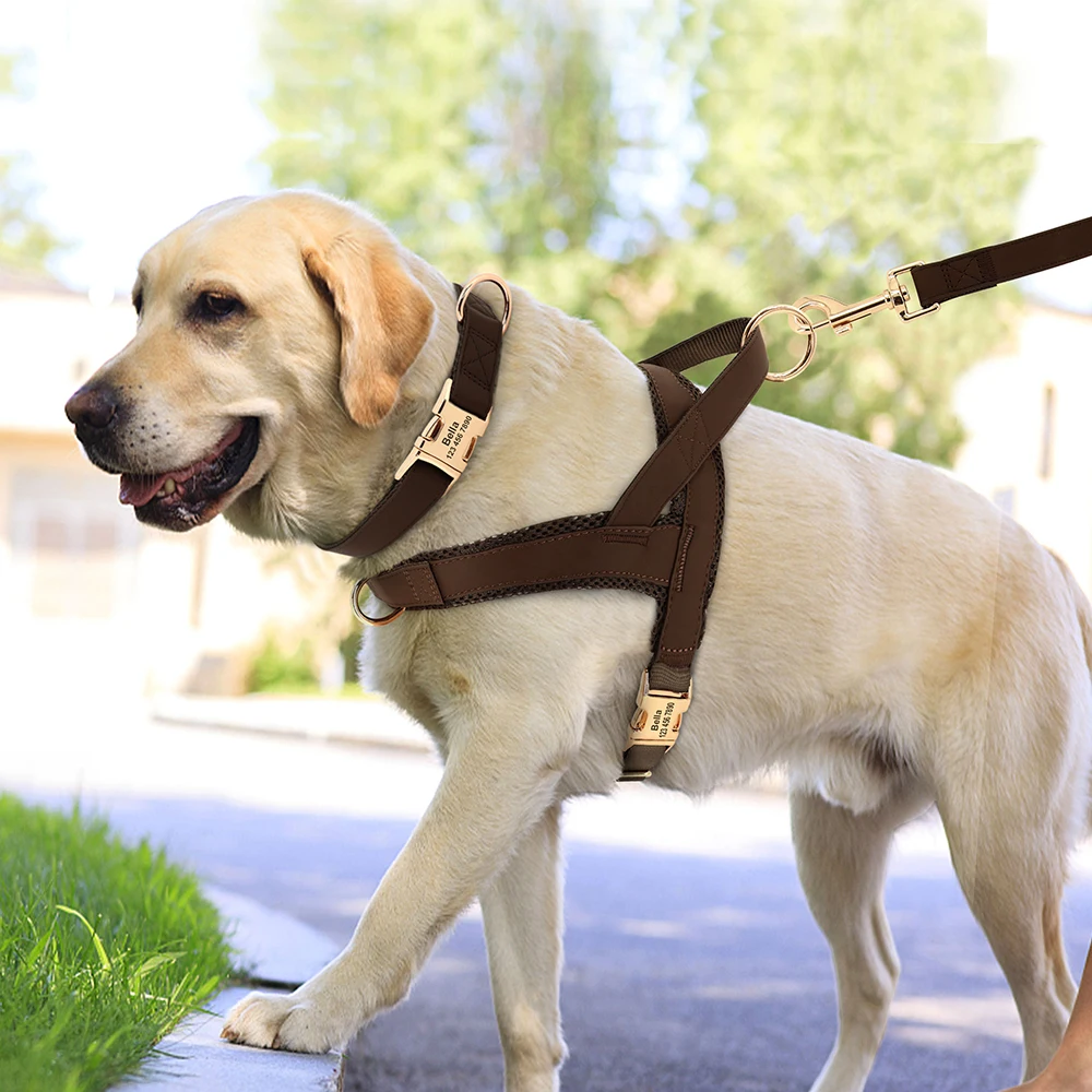 Pet Harness Leash Set Dog Collar Harness Custom No Pull For Small Medium Large Dogs Walking Lead Rope