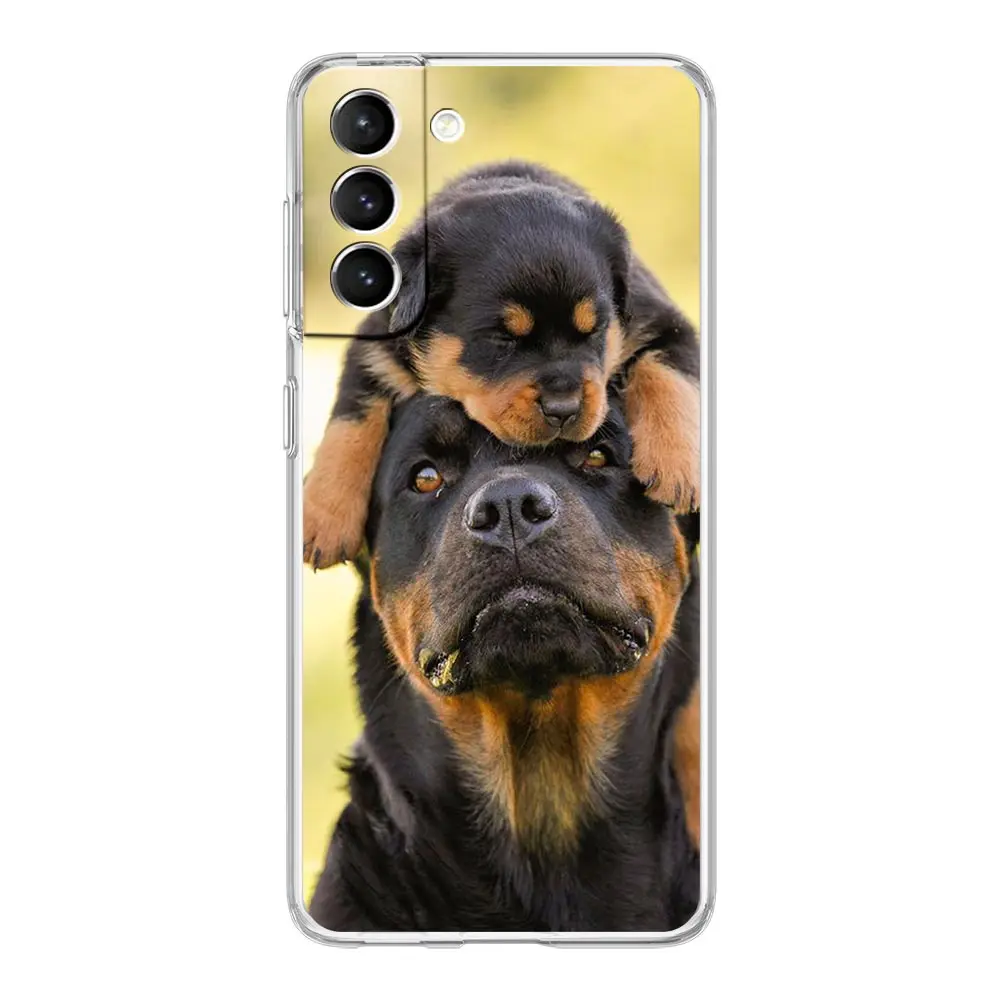 Rottweiler Dog Clear Silicone Phone Case - Soft and Durable Back Cover
