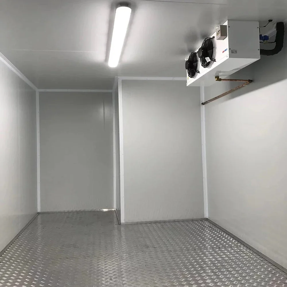 Low Noise Low Temperature Small Cold Room Refrigeration unit Cold Storage Room for Fish Manufacturers - Image 4