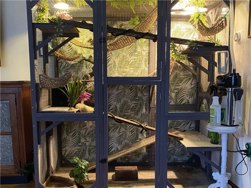 catio outdoor cat enclosure