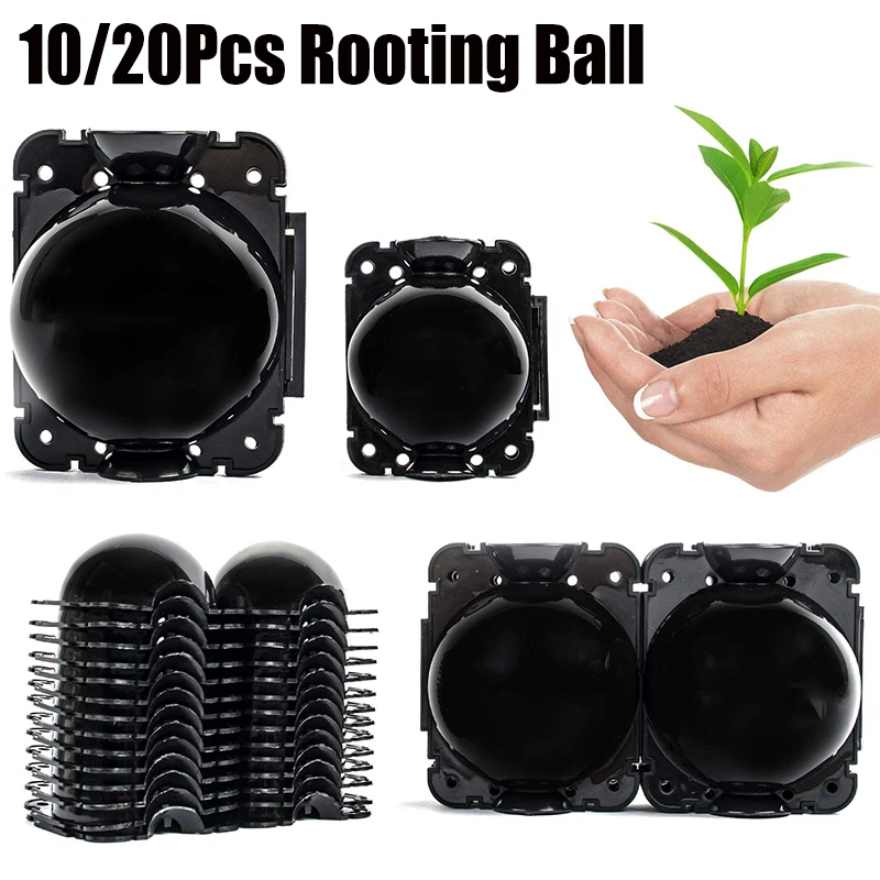 10/20pcs Plant Rooting Ball Grafting Growing Box Breeding Case For Garden 5/8cm 